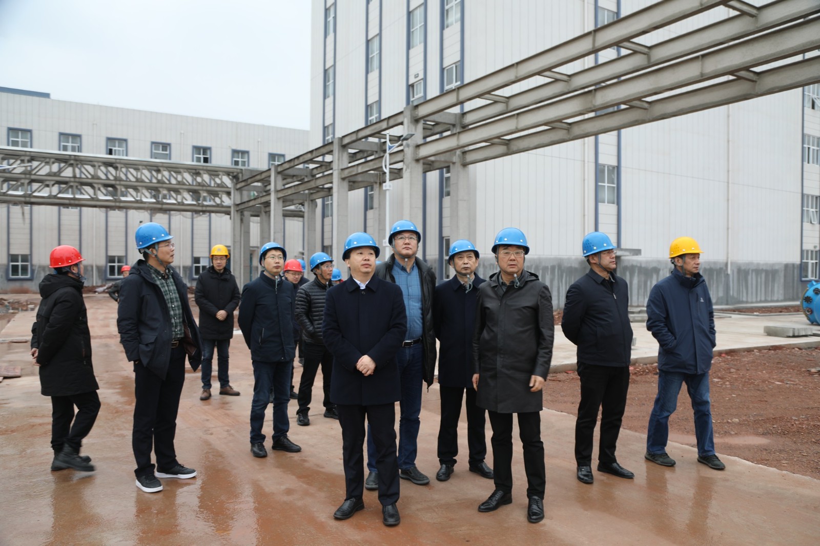 IMG_9488.JPG IMG_9488.JPG